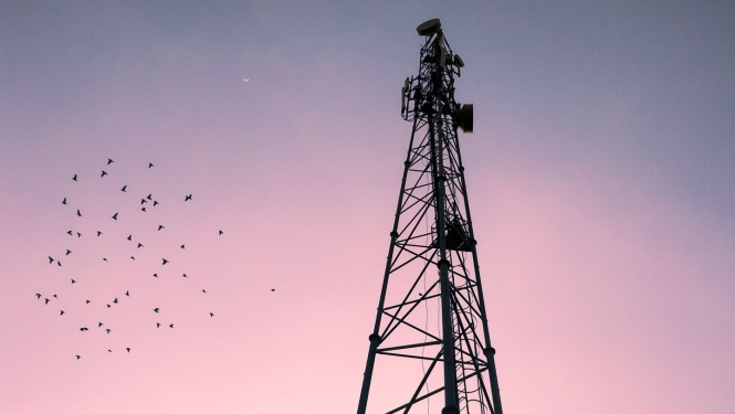 telekomunikāciju tornis ar putniem