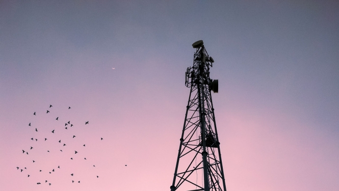 telekomunikāciju tornis ar putniem