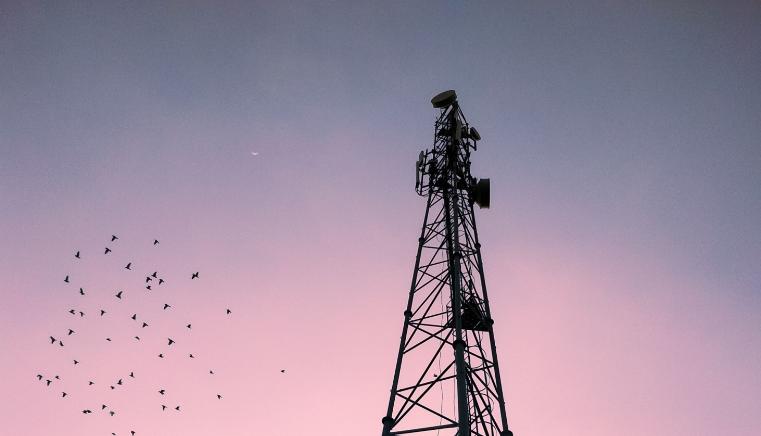 telekomunikāciju tornis ar putniem